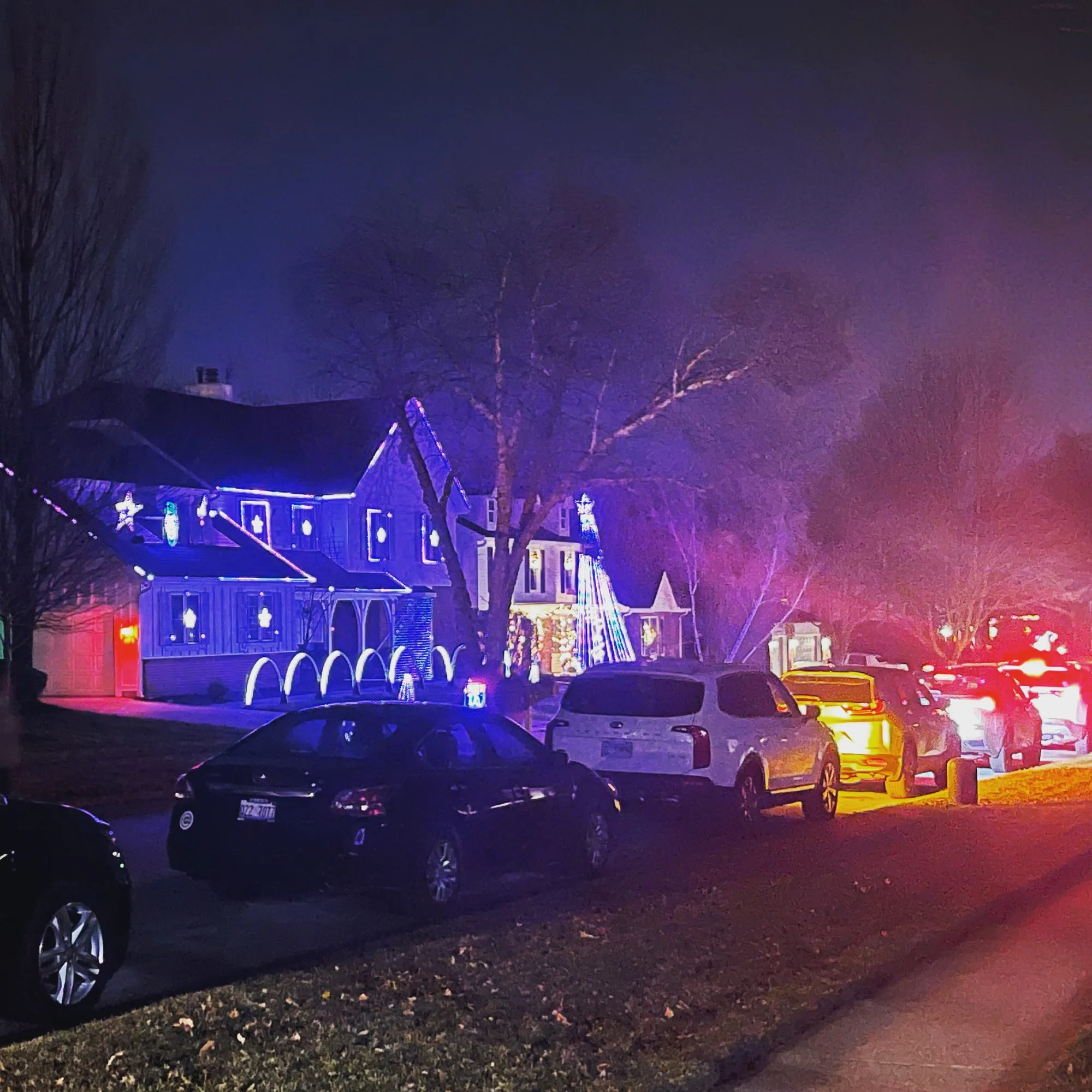 Cars lined up for the show, 2021