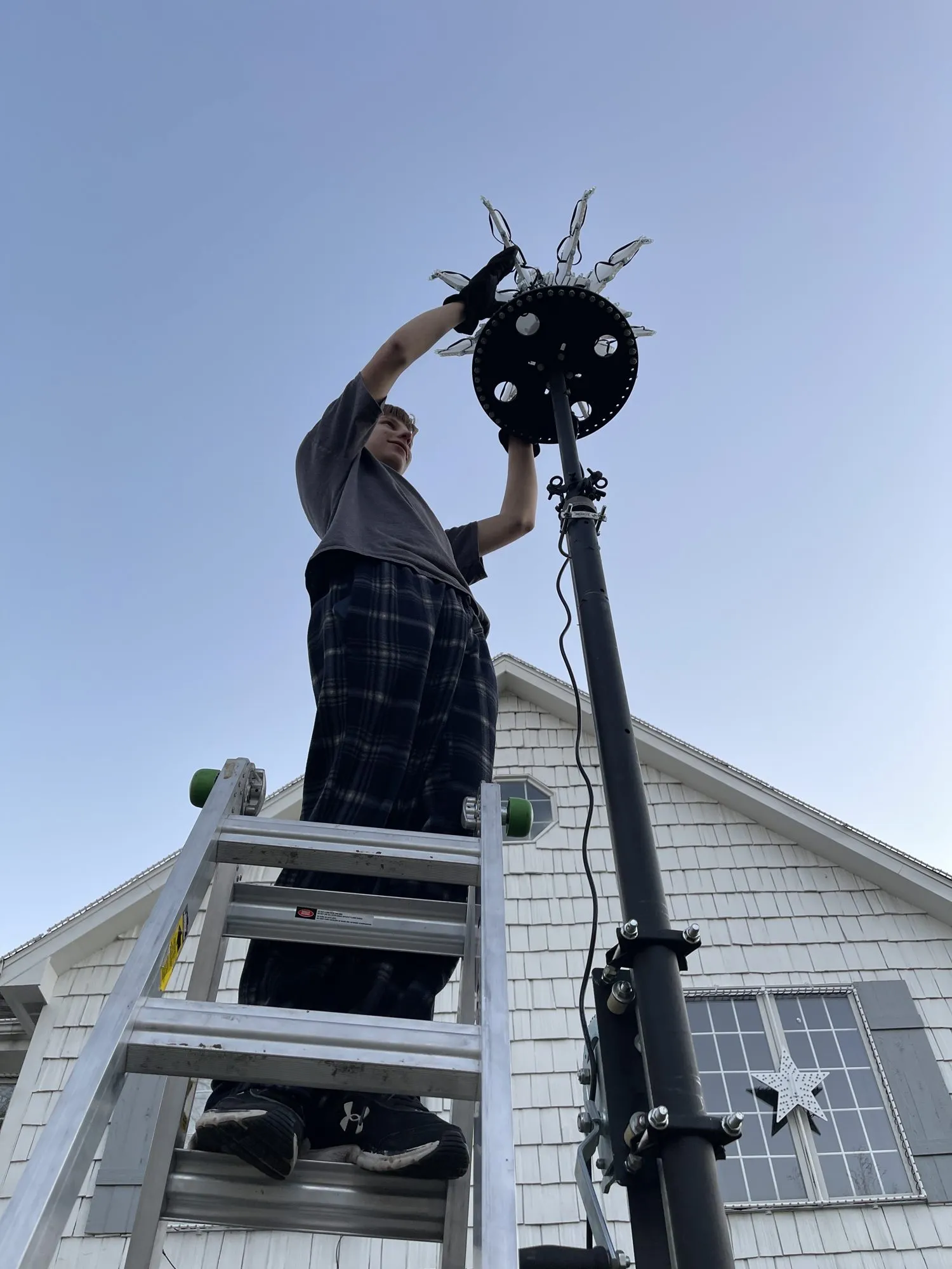 Topping the mega tree pole, 2021
