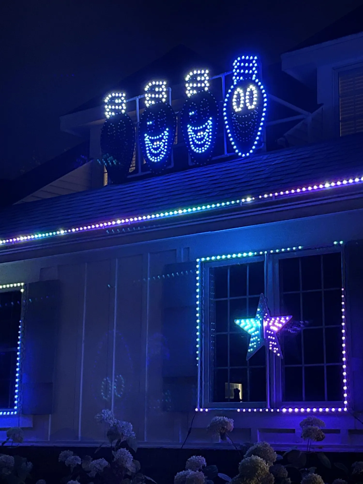Singing bulbs on the roofline, 2021