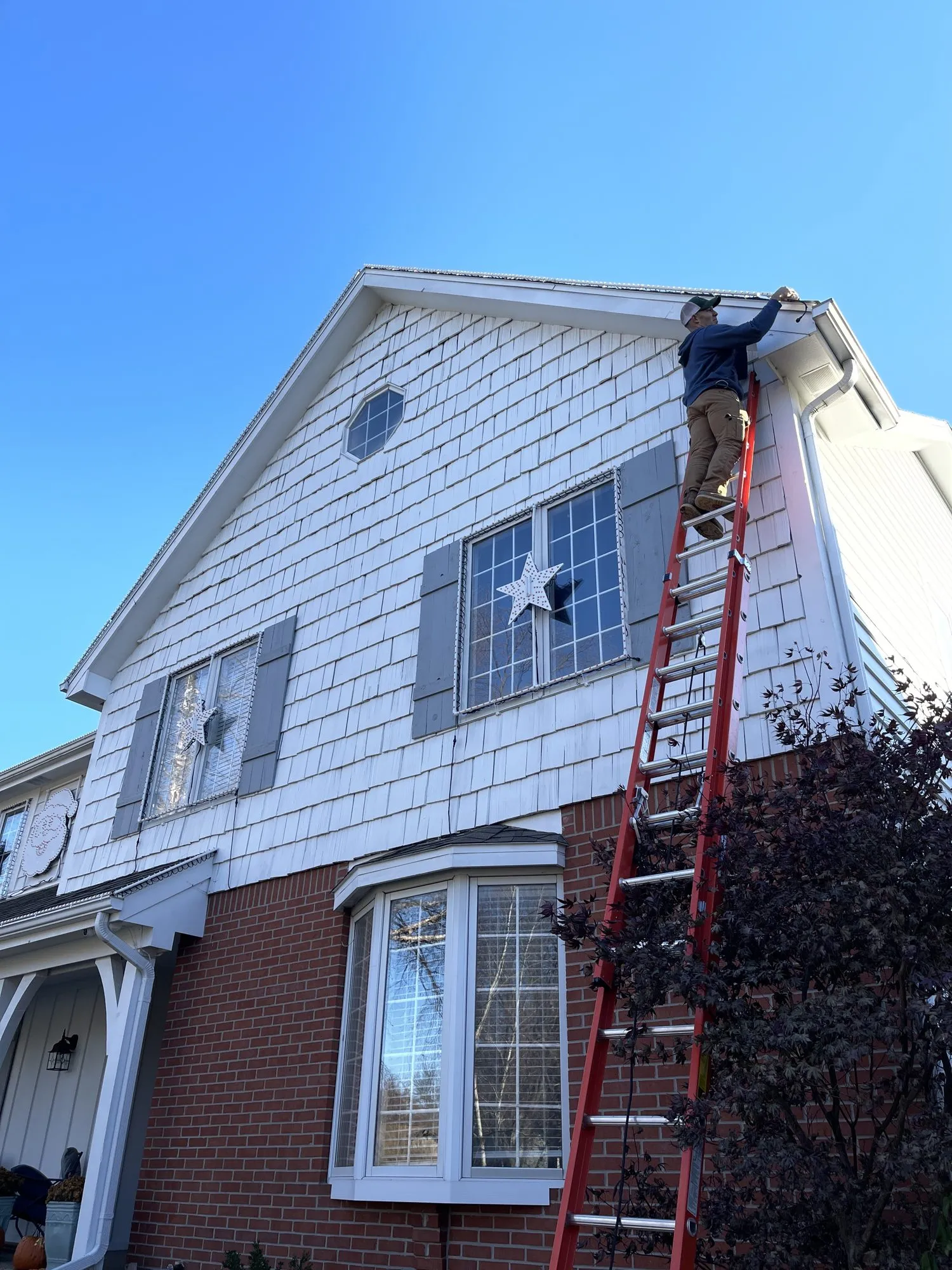 Dan on the tall ladder, 2022