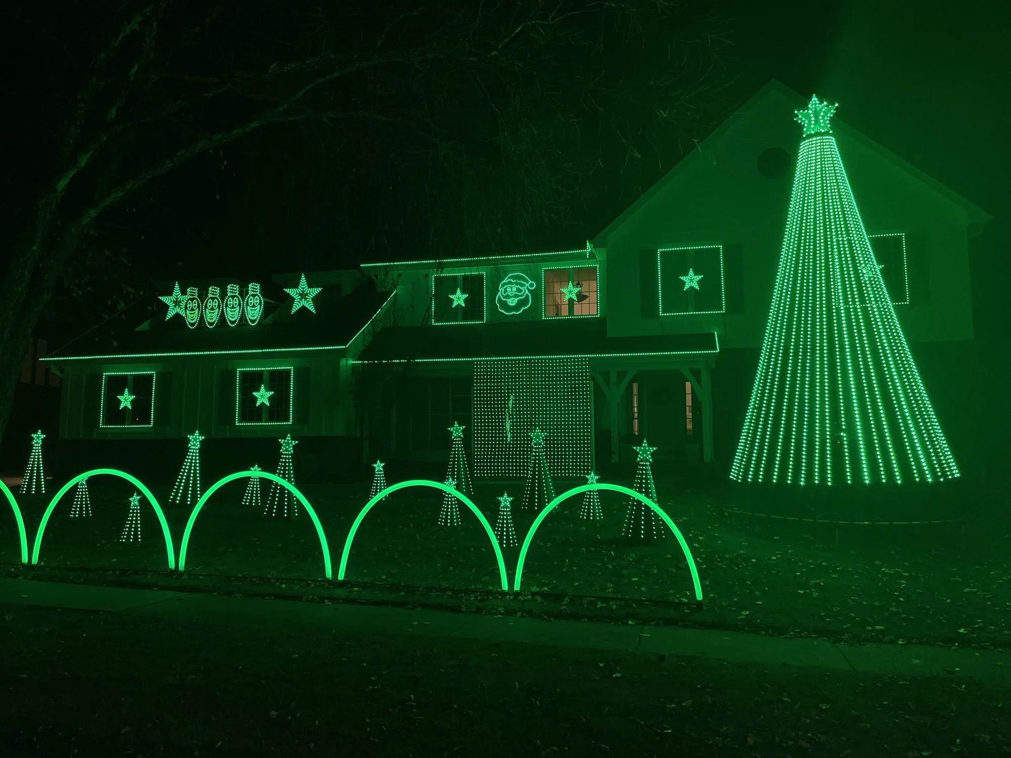 All green, 2022