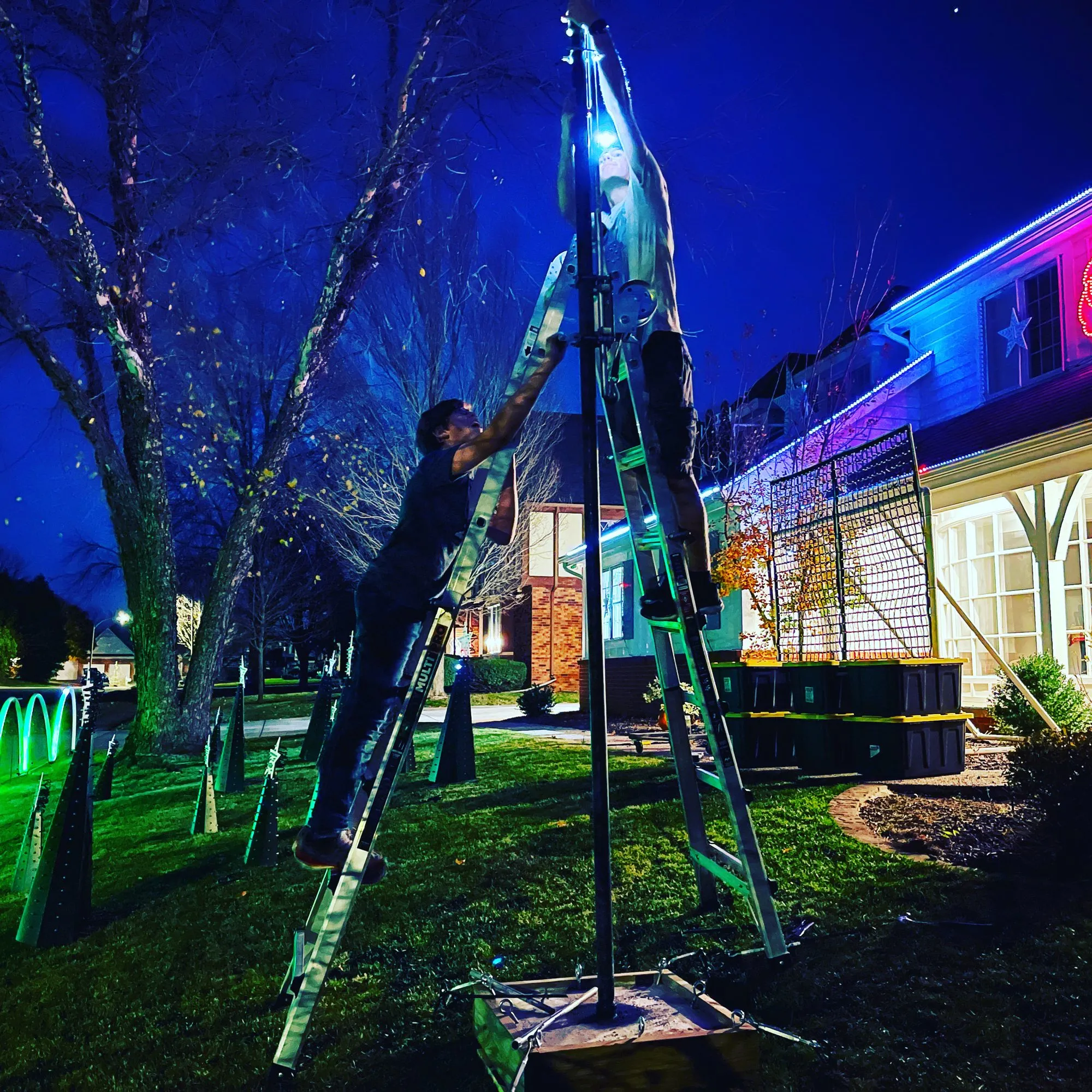 Will up the ladder at night, 2022